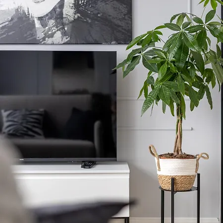 Business On Sluzew By Ecru Wwa90 *