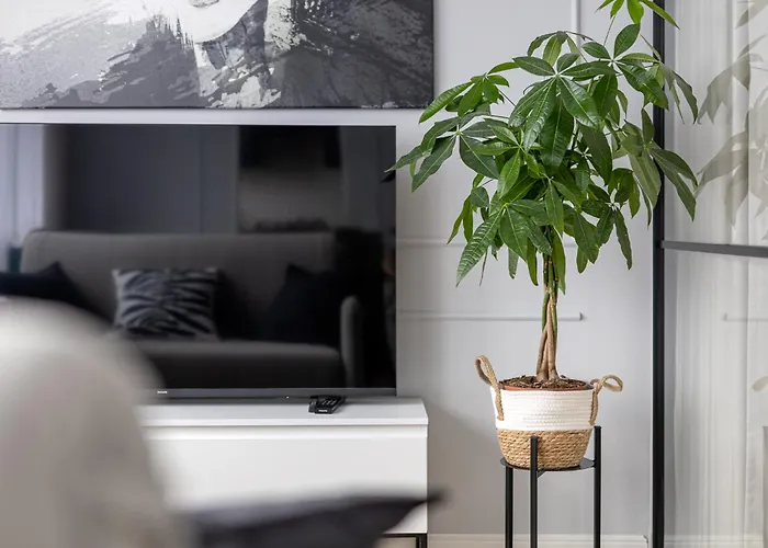 Business On Sluzew By Ecru Wwa90 *